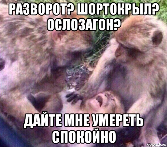 разворот? шортокрыл? ослозагон? дайте мне умереть спокойно