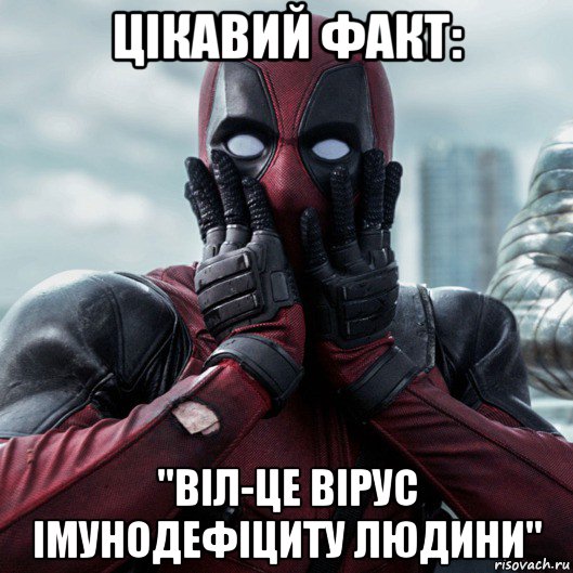 цікавий факт: "віл-це вірус імунодефіциту людини"