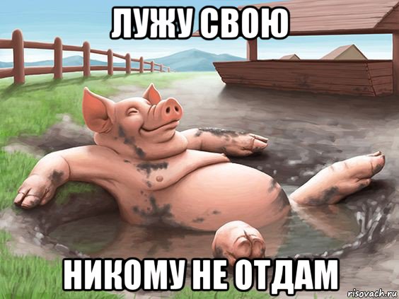 лужу свою никому не отдам