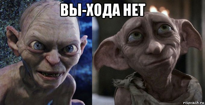 вы-хода нет , Мем Добби и