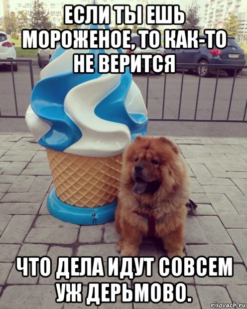 если ты ешь мороженое, то как-то не верится что дела идут совсем уж дерьмово., Мем Если ты ешь мороженое то как-то не верится
