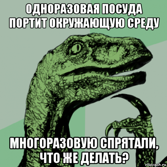 одноразовая посуда портит окружающую среду многоразовую спрятали, что же делать?