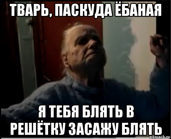 тварь, паскуда ёбаная я тебя блять в решётку засажу блять