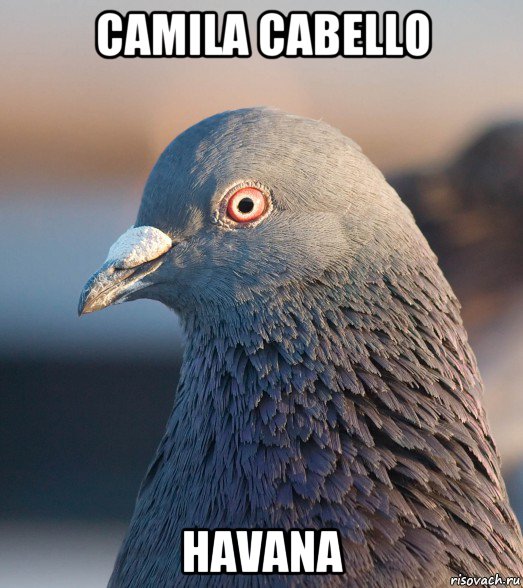 camila cabello havana