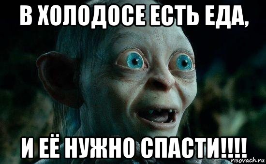 в холодосе есть еда, и её нужно спасти!!!!, Мем Голум 2