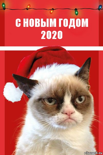 с новым годом 2020, Комикс  Grumpy cat new year