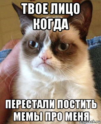 твое лицо когда перестали постить мемы про меня, Мем Grumpy Cat small