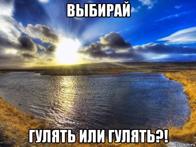 выбирай гулять или гулять?!