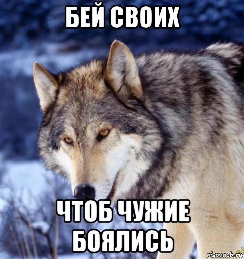 бей своих чтоб чужие боялись
