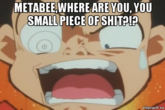 metabee,where are you, you small piece of shit?!? 