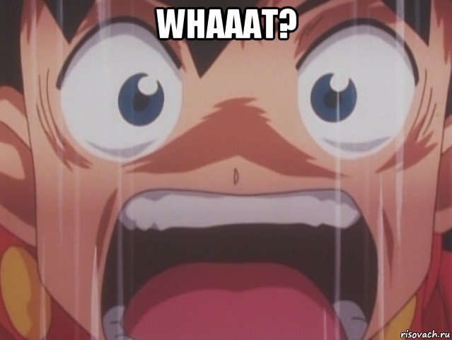 whaaat? , Мем Ikki scared