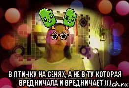  в птичку на сенях, а не в ту которая вредничала и вредничает:))), Мем Kawai Neko