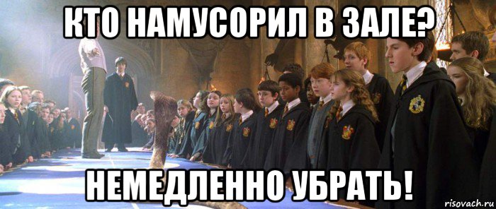 кто намусорил в зале? немедленно убрать!, Мем Кобра