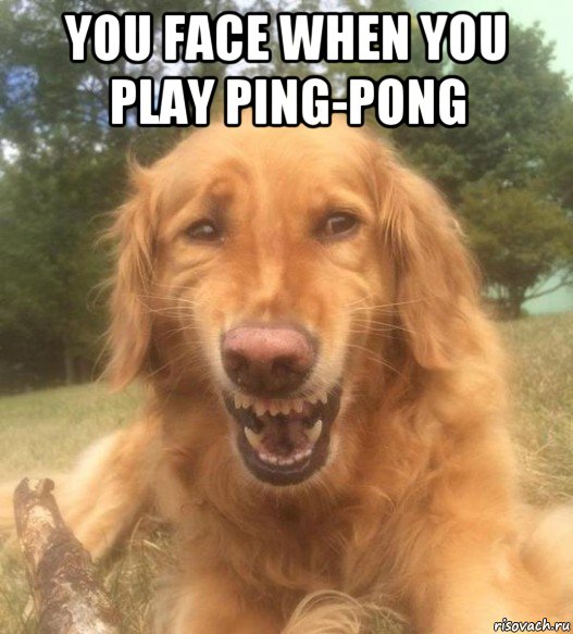 you face when you play ping-pong 