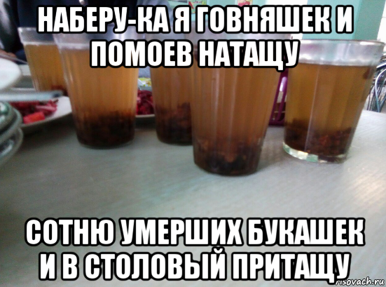 наберу-ка я говняшек и помоев натащу сотню умерших букашек и в столовый притащу, Мем Компот из сухофруктов