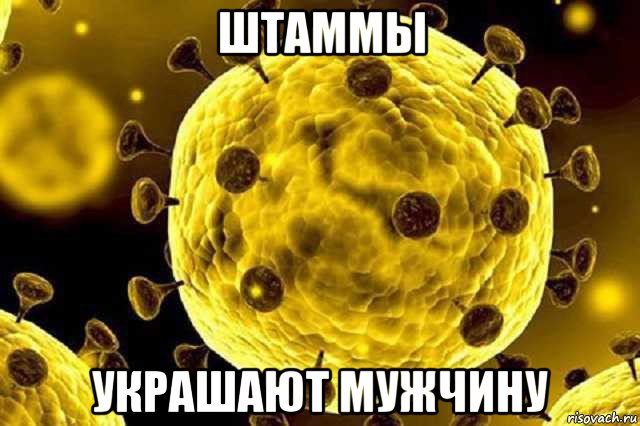 штаммы украшают мужчину, Мем Коронавирус