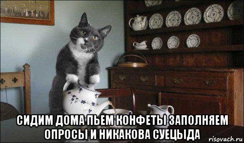  сидим дома пьем конфеты заполняем опросы и никакова суецыда