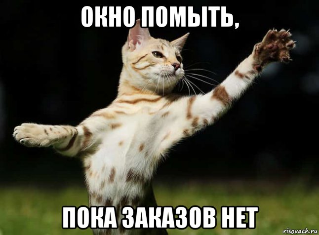окно помыть, пока заказов нет, Мем Кот с лапой