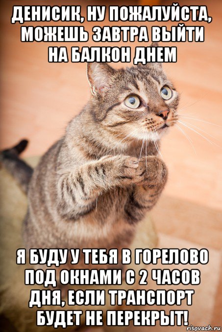 денисик, ну пожалуйста, можешь завтра выйти на балкон днем я буду у тебя в горелово под окнами с 2 часов дня, если транспорт будет не перекрыт!, Мем Котик