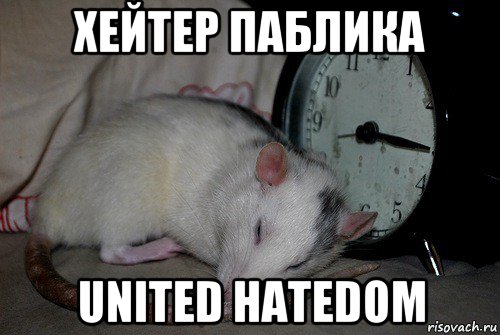 хейтер паблика united hatedom, Мем Крыса