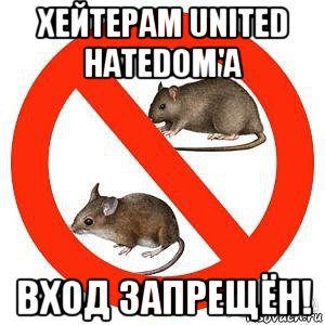 хейтерам united hatedom'a вход запрещён!, Мем Крысам здесь не место