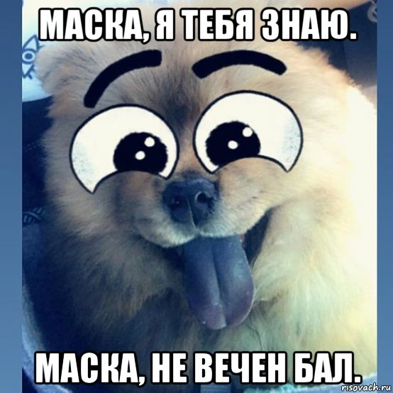 маска, я тебя знаю. маска, не вечен бал., Мем Маска маска я тебя знаю
