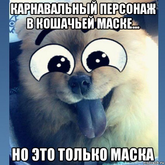 карнавальный персонаж в кошачьей маске... но это только маска, Мем Маска маска я тебя знаю