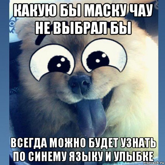 какую бы маску чау не выбрал бы всегда можно будет узнать по синему языку и улыбке, Мем Маска маска я тебя знаю