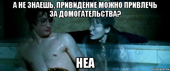 а не знаешь, привидение можно привлечь за домогательства? неа, Мем Миртл