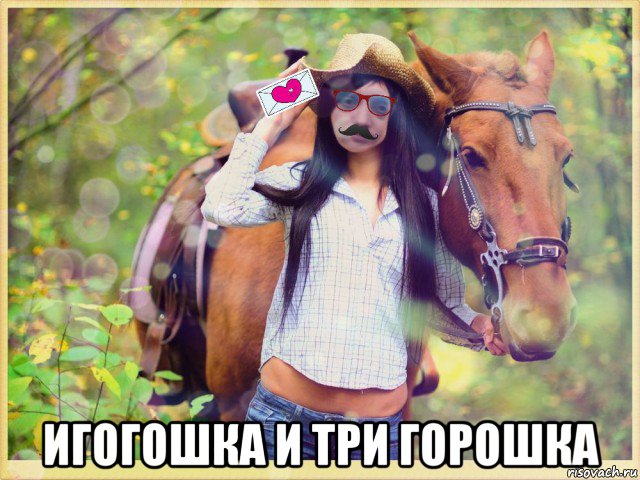  игогошка и три горошка, Мем MrEbanko - and его коняшка