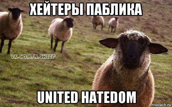хейтеры паблика united hatedom, Мем  Наивная Овца