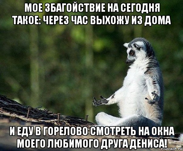 мое збагойствие на сегодня такое: через час выхожу из дома и еду в горелово смотреть на окна моего любимого друга дениса!