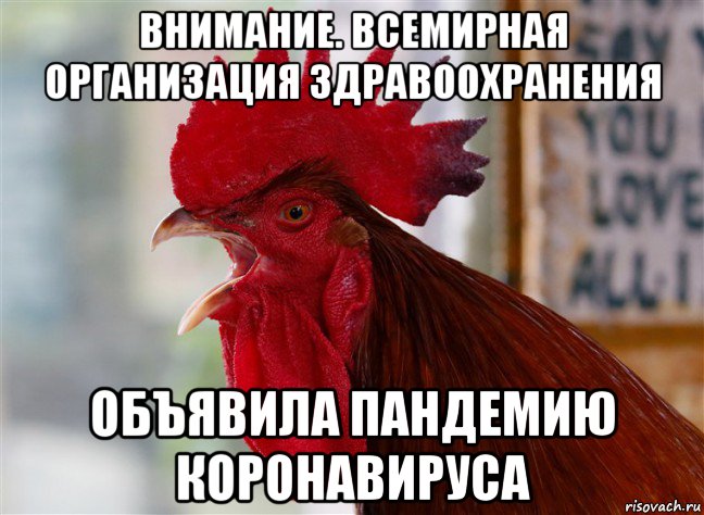 внимание. всемирная организация здравоохранения объявила пандемию коронавируса