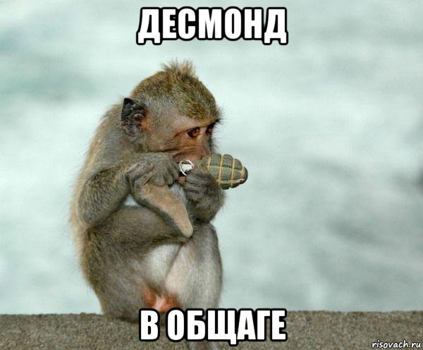 десмонд в общаге