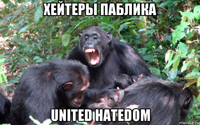 хейтеры паблика united hatedom, Мем Обезьяны