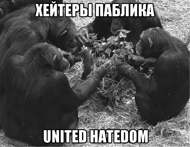хейтеры паблика united hatedom
