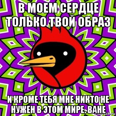 в моем сердце только твой образ и кроме тебя мне никто не нужен в этом мире. ване, Мем Омская птица