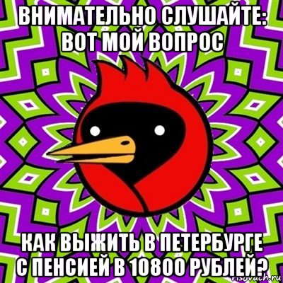 внимательно слушайте: вот мой вопрос как выжить в петербурге с пенсией в 10800 рублей?, Мем Омская птица