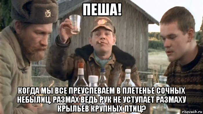 пеша! когда мы все преуспеваем в плетенье сочных небылиц, размах ведь рук не уступает размаху крыльев крупных птиц?