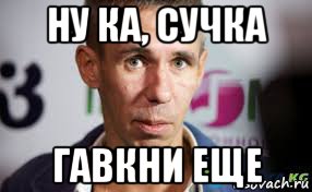 ну ка, сучка гавкни еще, Мем Панин