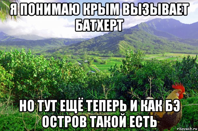 я понимаю крым вызывает батхерт но тут ещё теперь и как бэ остров такой есть, Мем Петух одичавший Кауаи - Feral Rooster Kauai