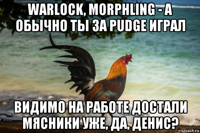 warlock, morphling - а обычно ты за pudge играл видимо на работе достали мясники уже, да, денис?, Мем Петух одичавший Кауаи - Feral Rooster Kauai