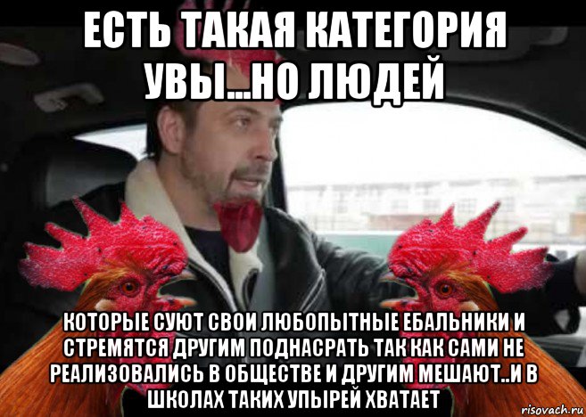 есть такая категория увы...но людей которые суют свои любопытные ебальники и стремятся другим поднасрать так как сами не реализовались в обществе и другим мешают..и в школах таких упырей хватает, Мем Петух