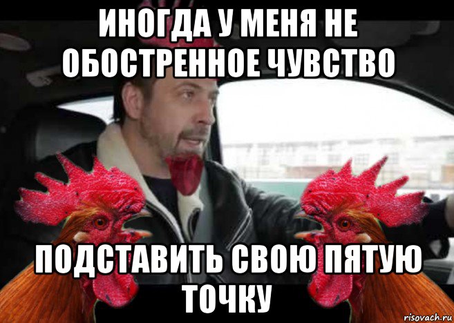 иногда у меня не обостренное чувство подставить свою пятую точку, Мем Петух