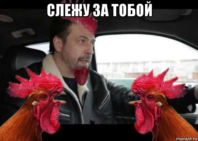 слежу за тобой , Мем Петух