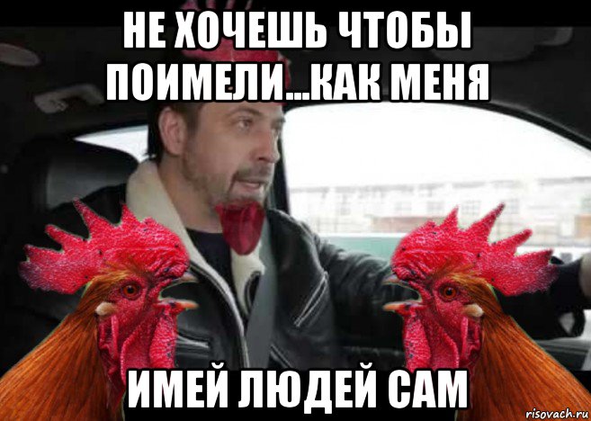 не хочешь чтобы поимели...как меня имей людей сам, Мем Петух