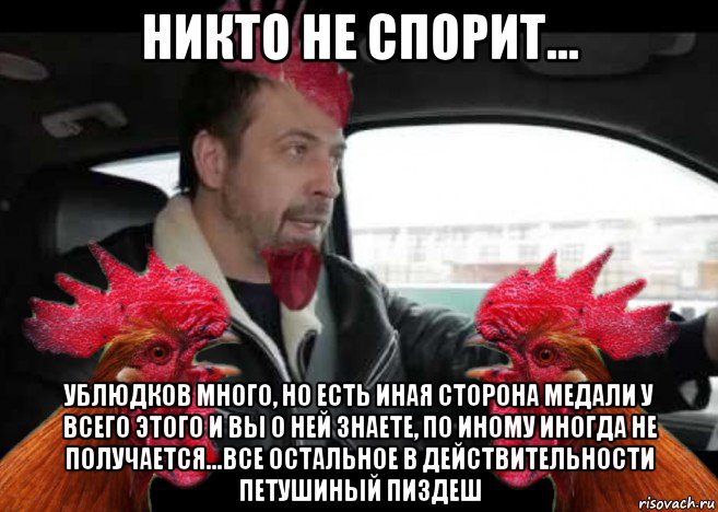 никто не спорит... ублюдков много, но есть иная сторона медали у всего этого и вы о ней знаете, по иному иногда не получается...все остальное в действительности петушиный пиздеш, Мем Петух