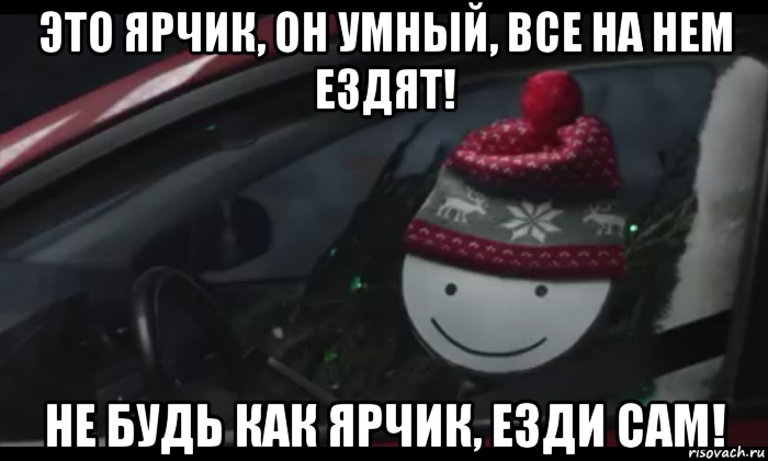 это ярчик, он умный, все на нем ездят! не будь как ярчик, езди сам!