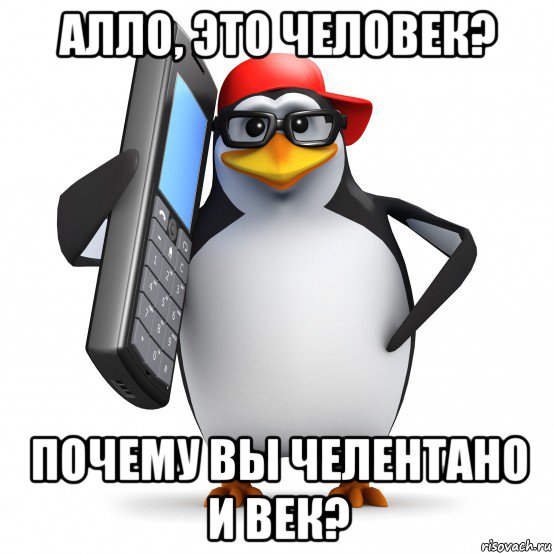 алло, это человек? почему вы челентано и век?, Мем   Пингвин звонит