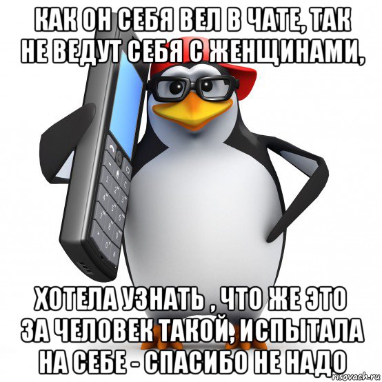 как он себя вел в чате, так не ведут себя с женщинами, хотела узнать , что же это за человек такой, испытала на себе - спасибо не надо, Мем   Пингвин звонит